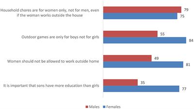 What shapes attitudes on gender roles among adolescents in Bangladesh